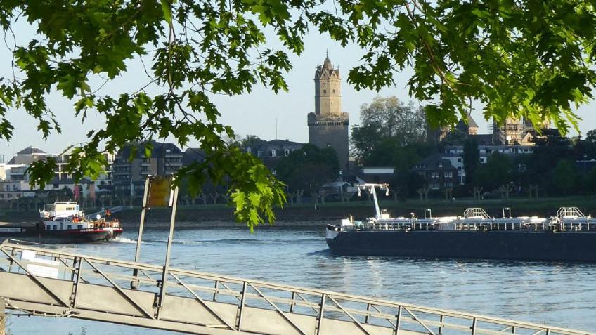 Wunschbaum Andernach